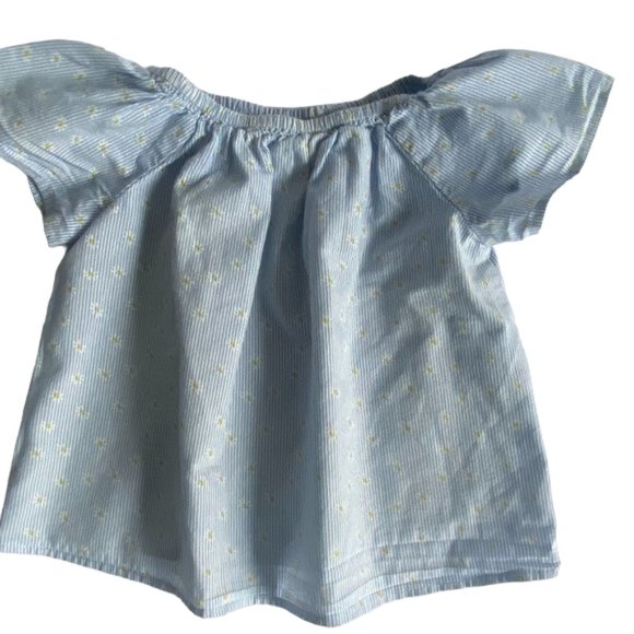 Zara Other - Zara Baby Girl Blue Striped Floral Cotton Top